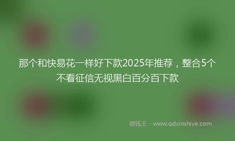 那个和快易花一样好下款2025年推荐，整合5个不看征信无视黑白百分百下款