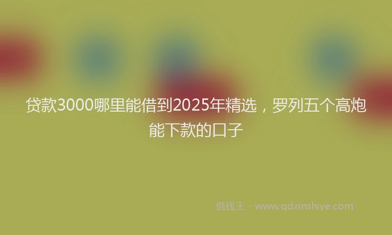 贷款3000哪里能借到2025年精选，罗列五个高炮能下款的口子