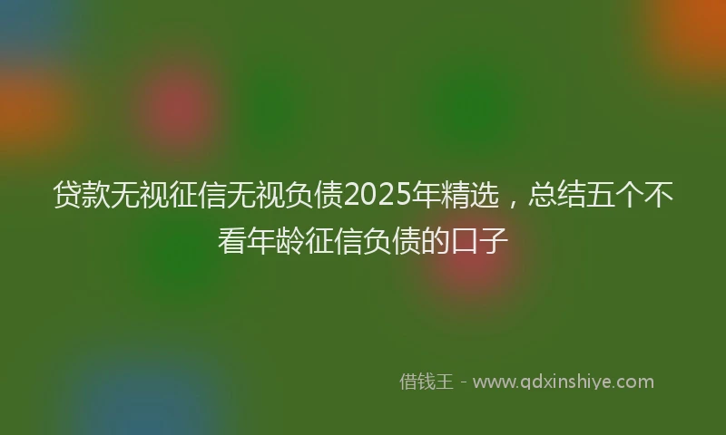 贷款无视征信无视负债2025年精选，总结五个不看年龄征信负债的口子