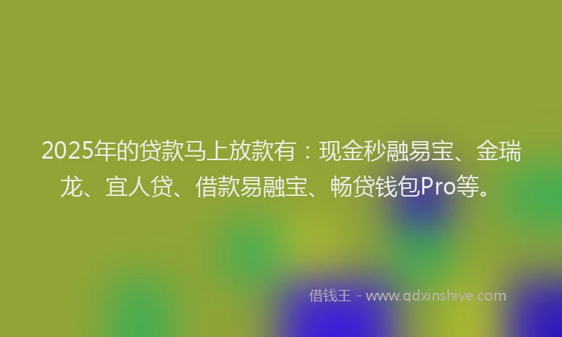 2025年的贷款马上放款有：现金秒融易宝、金瑞龙、宜人贷、借款易融宝、畅贷钱包Pro等。