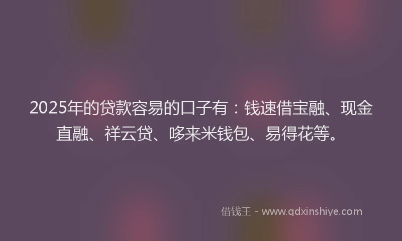 2025年的贷款容易的口子有：钱速借宝融、现金直融、祥云贷、哆来米钱包、易得花等。