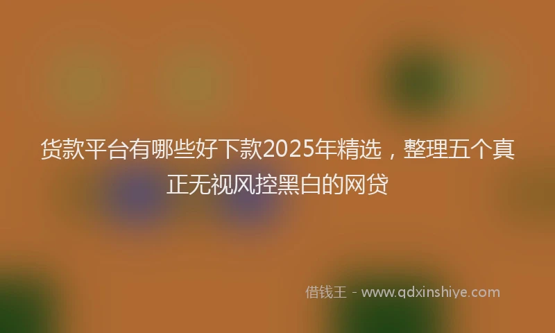 货款平台有哪些好下款2025年精选，整理五个真正无视风控黑白的网贷