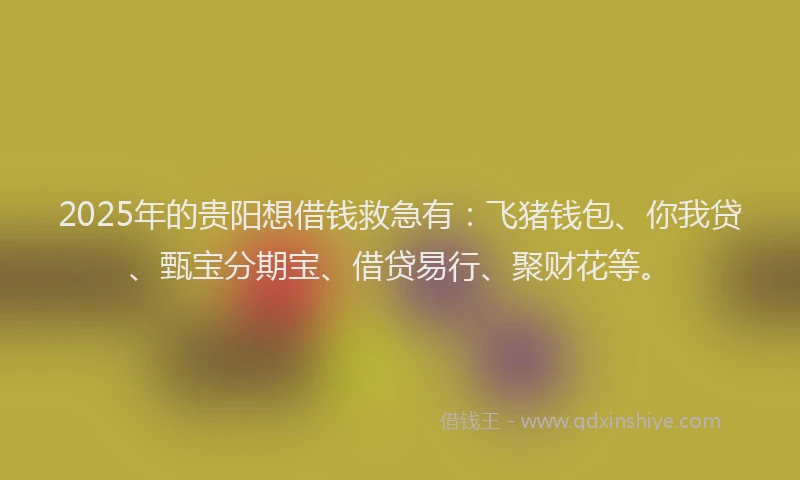 2025年的贵阳想借钱救急有：飞猪钱包、你我贷、甄宝分期宝、借贷易行、聚财花等。