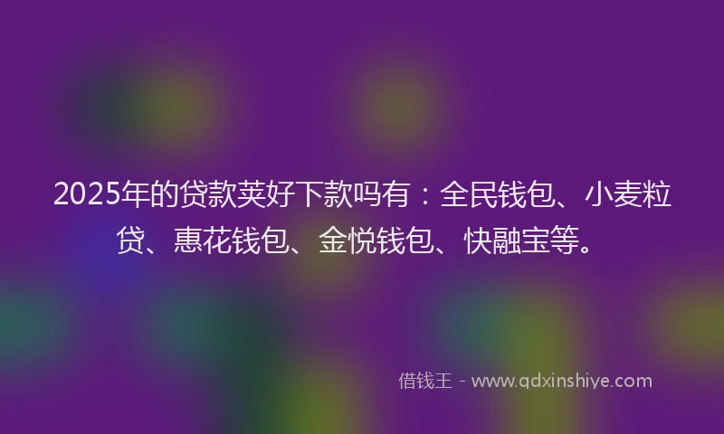 2025年的贷款荚好下款吗有：全民钱包、小麦粒贷、惠花钱包、金悦钱包、快融宝等。