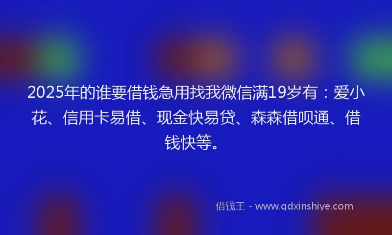 2025年的谁要借钱急用找我微信满19岁有：爱小花、信用卡易借、现金快易贷、森森借呗通、借钱快等。