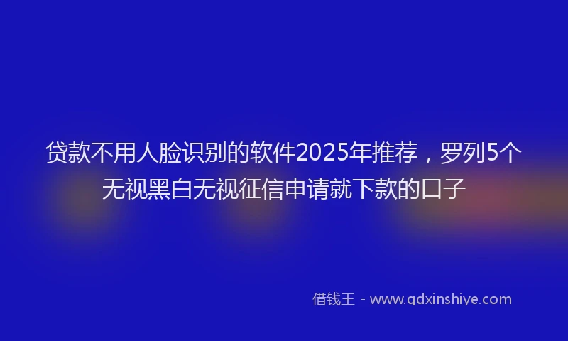 贷款不用人脸识别的软件2025年推荐，罗列5个无视黑白无视征信申请就下款的口子