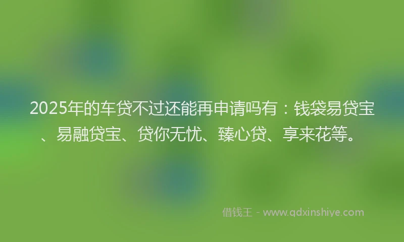 2025年的车贷不过还能再申请吗有：钱袋易贷宝、易融贷宝、贷你无忧、臻心贷、享来花等。