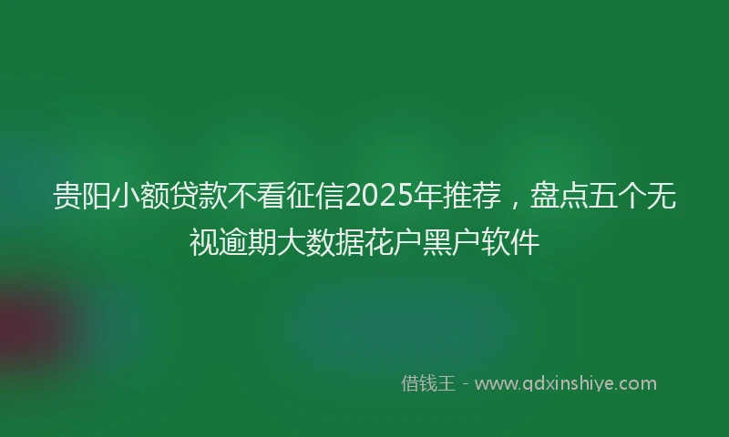 贵阳小额贷款不看征信2025年推荐，盘点五个无视逾期大数据花户黑户软件