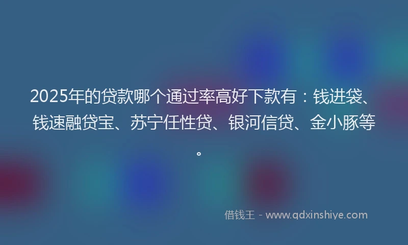 2025年的贷款哪个通过率高好下款有：钱进袋、钱速融贷宝、苏宁任性贷、银河信贷、金小豚等。