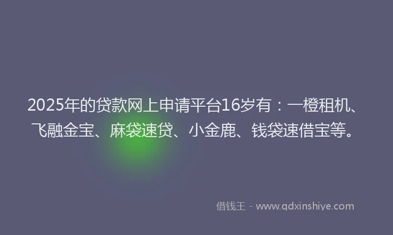 2025年的贷款网上申请平台16岁有：一橙租机、飞融金宝、麻袋速贷、小金鹿、钱袋速借宝等。