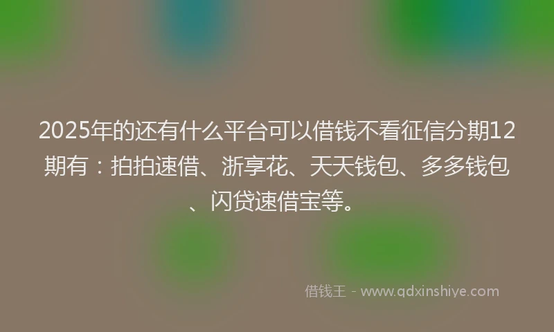 2025年的还有什么平台可以借钱不看征信分期12期有：拍拍速借、浙享花、天天钱包、多多钱包、闪贷速借宝等。