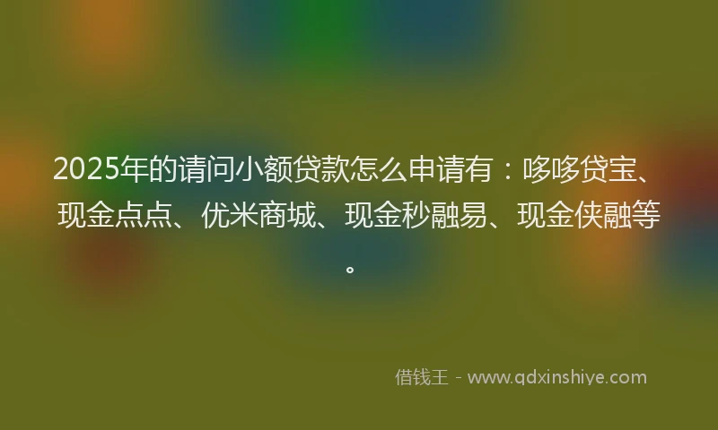 2025年的请问小额贷款怎么申请有：哆哆贷宝、现金点点、优米商城、现金秒融易、现金侠融等。