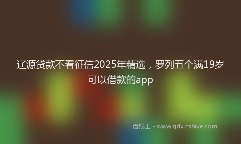 辽源贷款不看征信2025年精选，罗列五个满19岁可以借款的app