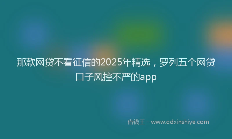 那款网贷不看征信的2025年精选，罗列五个网贷口子风控不严的app