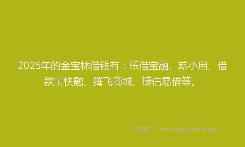 2025年的金宝林借钱有：乐借宝融、薪小用、借款宝快融、腾飞商城、捷信易借等。