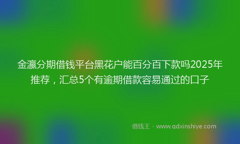 金瀛分期借钱平台黑花户能百分百下款吗2025年推荐，汇总5个有逾期借款容易通过的口子