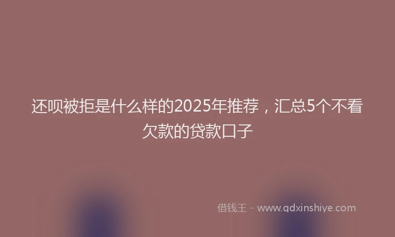 还呗被拒是什么样的2025年推荐，汇总5个不看欠款的贷款口子