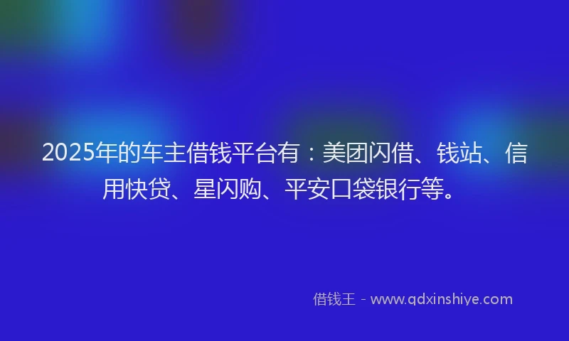 2025年的车主借钱平台有：美团闪借、钱站、信用快贷、星闪购、平安口袋银行等。