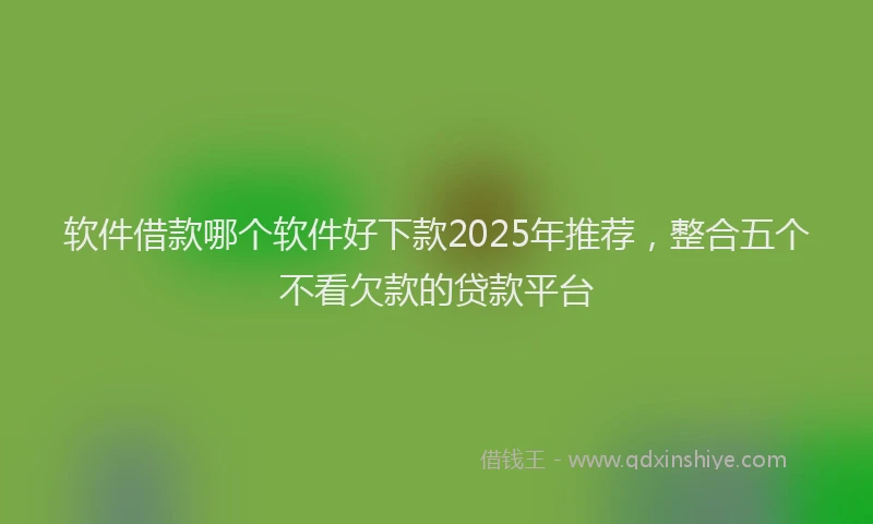 软件借款哪个软件好下款2025年推荐，整合五个不看欠款的贷款平台