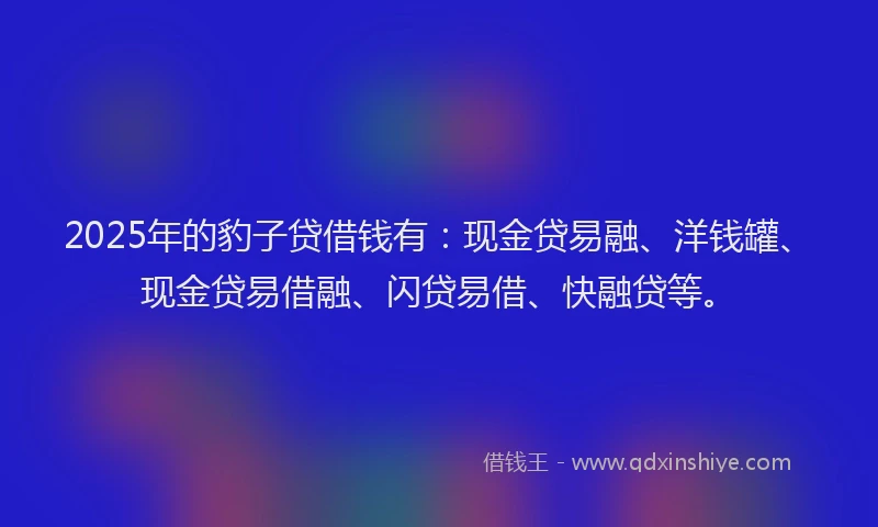2025年的豹子贷借钱有：现金贷易融、洋钱罐、现金贷易借融、闪贷易借、快融贷等。