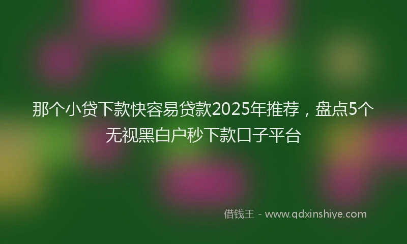 那个小贷下款快容易贷款2025年推荐，盘点5个无视黑白户秒下款口子平台