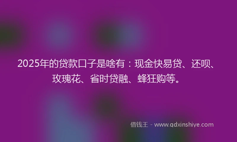 2025年的贷款口子是啥有：现金快易贷、还呗、玫瑰花、省时贷融、蜂狂购等。