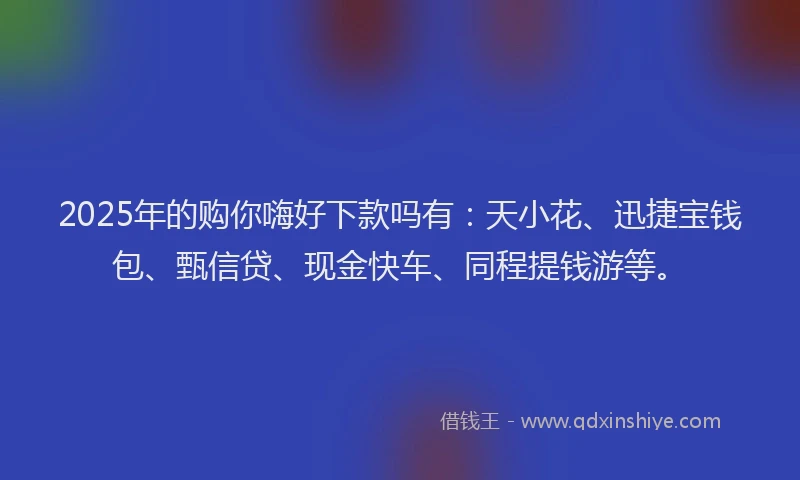 2025年的购你嗨好下款吗有：天小花、迅捷宝钱包、甄信贷、现金快车、同程提钱游等。