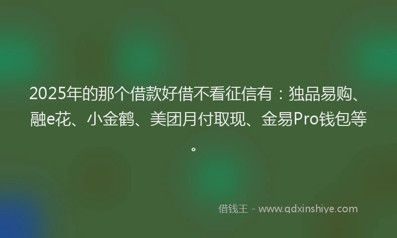 2025年的那个借款好借不看征信有：独品易购、融e花、小金鹤、美团月付取现、金易Pro钱包等。