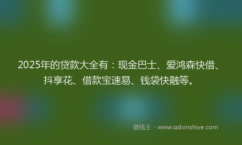 2025年的贷款大全有：现金巴士、爱鸿森快借、抖享花、借款宝速易、钱袋快融等。