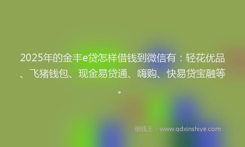 2025年的金丰e贷怎样借钱到微信有：轻花优品、飞猪钱包、现金易贷通、嗨购、快易贷宝融等。
