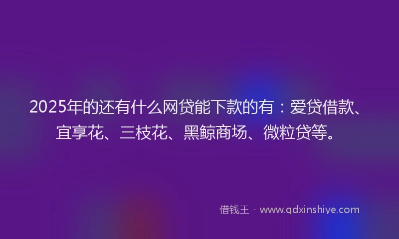 2025年的还有什么网贷能下款的有：爱贷借款、宜享花、三枝花、黑鲸商场、微粒贷等。