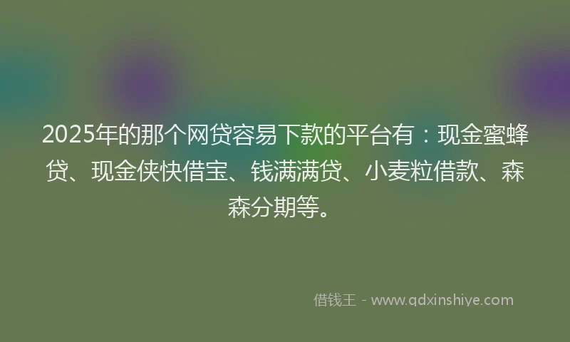 2025年的那个网贷容易下款的平台有：现金蜜蜂贷、现金侠快借宝、钱满满贷、小麦粒借款、森森分期等。