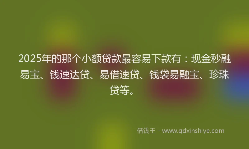 2025年的那个小额贷款最容易下款有：现金秒融易宝、钱速达贷、易借速贷、钱袋易融宝、珍珠贷等。