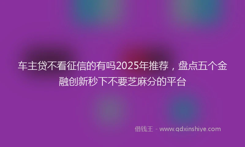 车主贷不看征信的有吗2025年推荐，盘点五个金融创新秒下不要芝麻分的平台