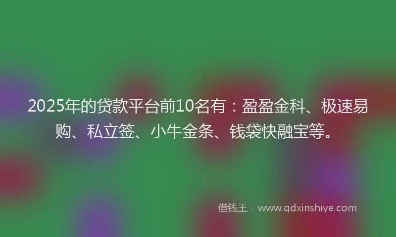 2025年的贷款平台前10名有：盈盈金科、极速易购、私立签、小牛金条、钱袋快融宝等。