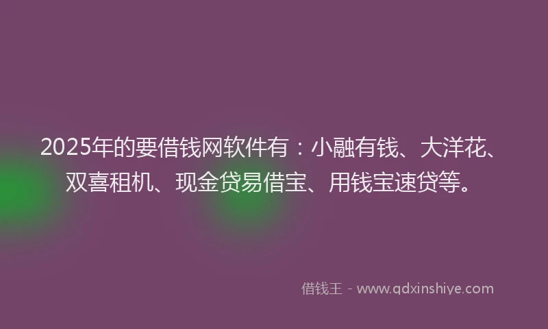 2025年的要借钱网软件有：小融有钱、大洋花、双喜租机、现金贷易借宝、用钱宝速贷等。