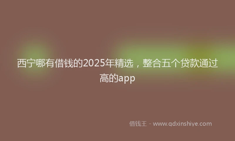 西宁哪有借钱的2025年精选，整合五个贷款通过高的app