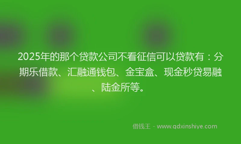2025年的那个贷款公司不看征信可以贷款有：分期乐借款、汇融通钱包、金宝盒、现金秒贷易融、陆金所等。