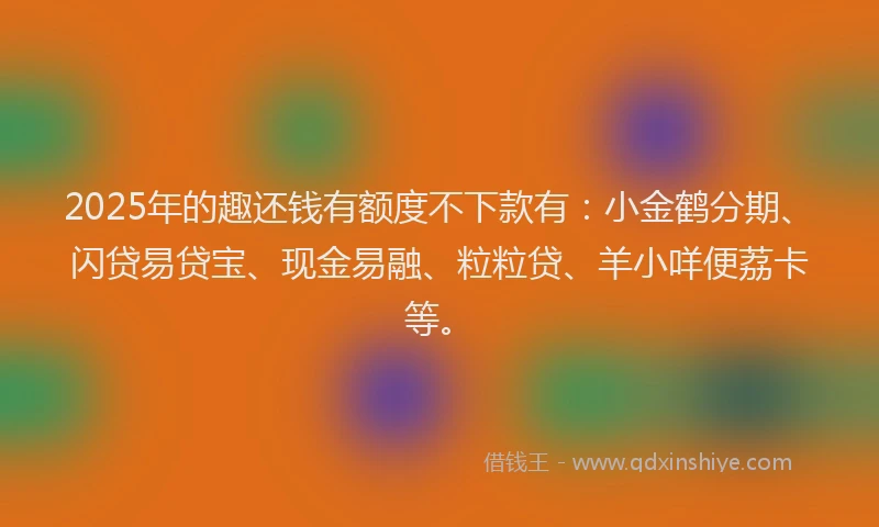 2025年的趣还钱有额度不下款有：小金鹤分期、闪贷易贷宝、现金易融、粒粒贷、羊小咩便荔卡等。