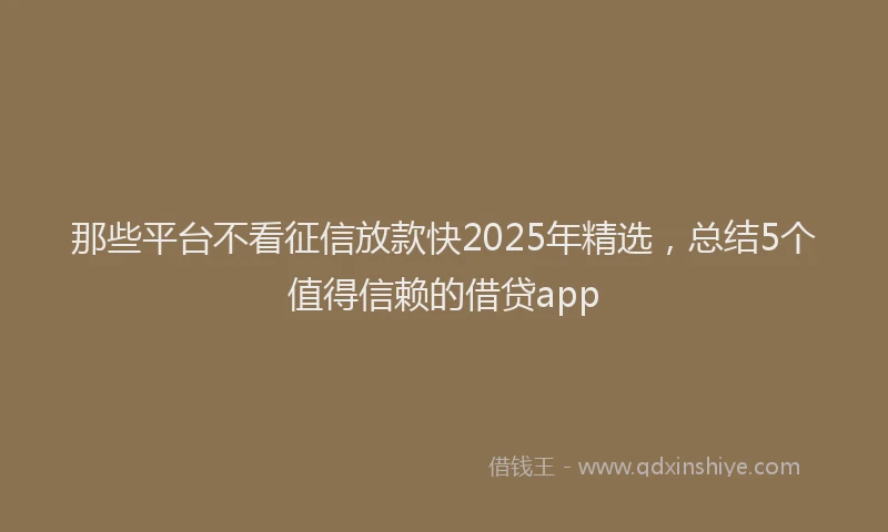 那些平台不看征信放款快2025年精选，总结5个值得信赖的借贷app