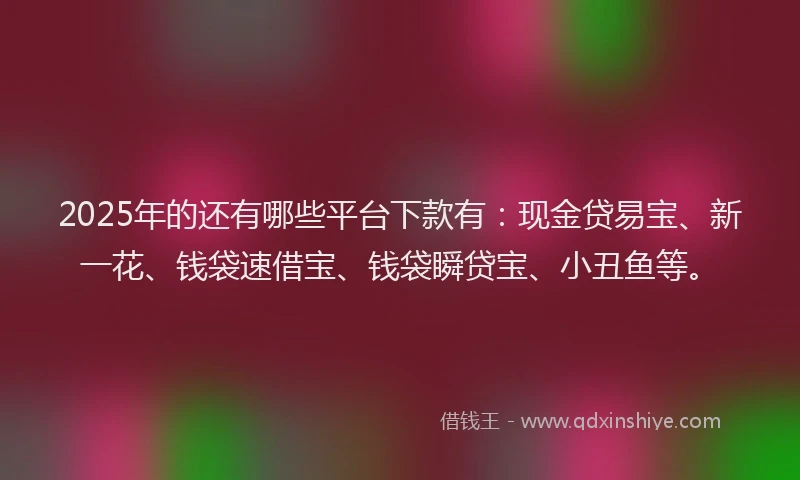 2025年的还有哪些平台下款有：现金贷易宝、新一花、钱袋速借宝、钱袋瞬贷宝、小丑鱼等。