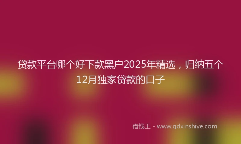 贷款平台哪个好下款黑户2025年精选，归纳五个12月独家贷款的口子