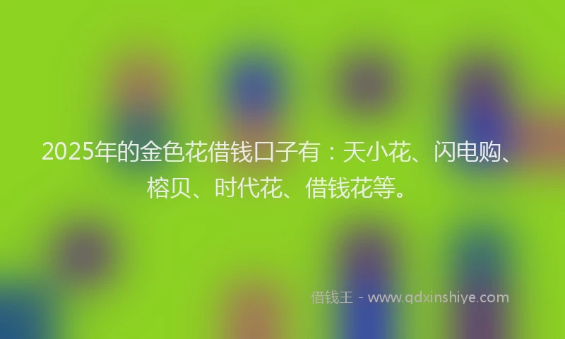 2025年的金色花借钱口子有：天小花、闪电购、榕贝、时代花、借钱花等。