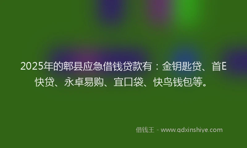 2025年的郫县应急借钱贷款有：金钥匙贷、首E快贷、永卓易购、宜口袋、快鸟钱包等。