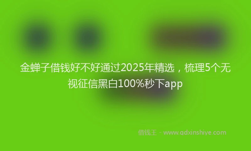 金蝉子借钱好不好通过2025年精选，梳理5个无视征信黑白100%秒下app