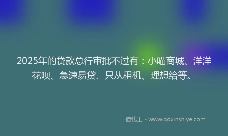 2025年的贷款总行审批不过有：小喵商城、洋洋花呗、急速易贷、只从租机、理想给等。