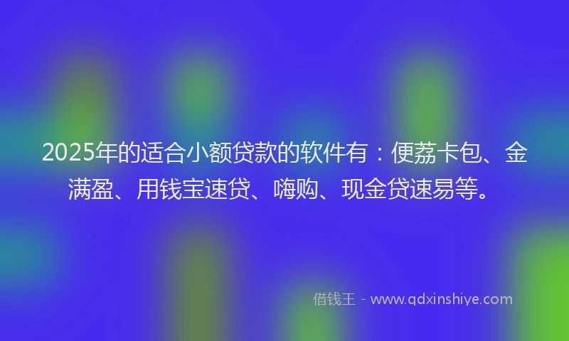 2025年的适合小额贷款的软件有：便荔卡包、金满盈、用钱宝速贷、嗨购、现金贷速易等。