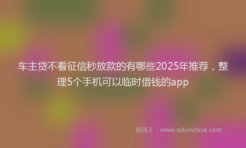 车主贷不看征信秒放款的有哪些2025年推荐，整理5个手机可以临时借钱的app