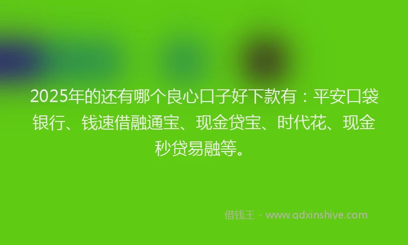 2025年的还有哪个良心口子好下款有：平安口袋银行、钱速借融通宝、现金贷宝、时代花、现金秒贷易融等。