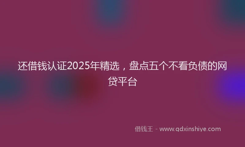 还借钱认证2025年精选，盘点五个不看负债的网贷平台